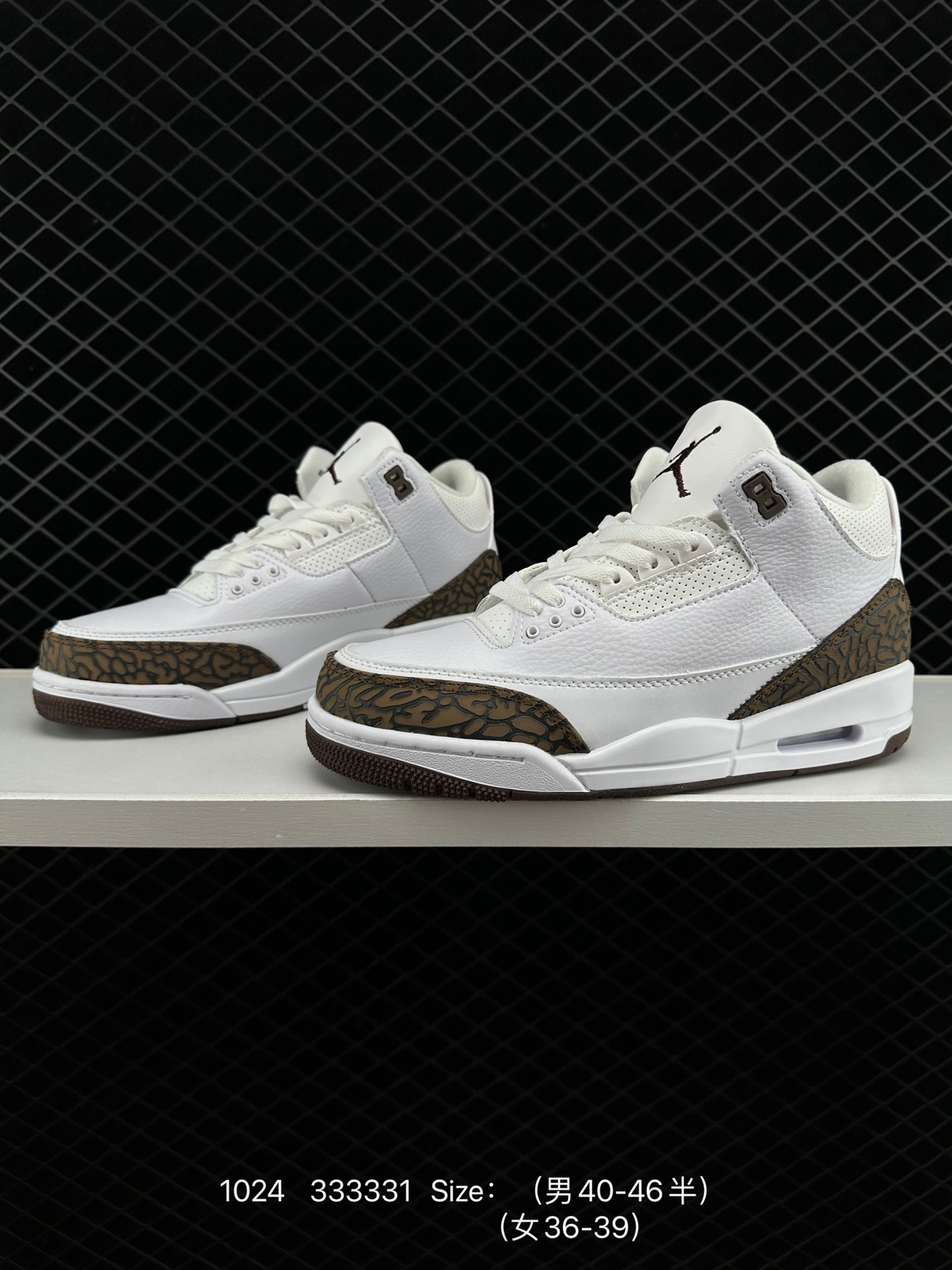 Nike Air Jordan 3 Retro SE